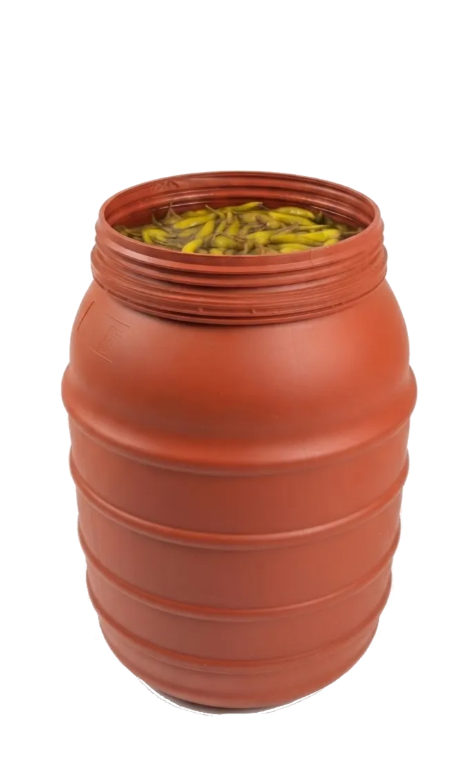 Peppers in 220L Drum